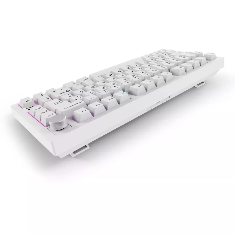 Sharkoon SGK55W SKILLER belaidė žaidimų klaviatūra, 75% išdėstymas, PBT klavišai, balta