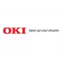 OKI 24 kontaktų spausdinimo galvutė, skirta Microline 6300 FB