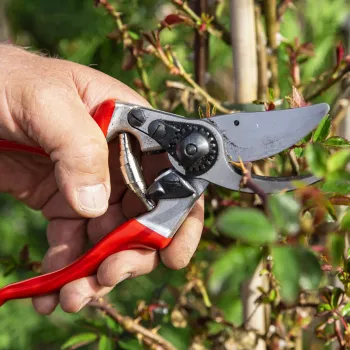 FELCO 9 kairiarankės apėjimo genėjimo žirklės – kaltinis aliuminis