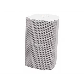 Bose Professional FreeSpace FS2SE paviršinis garsiakalbis (juodas)