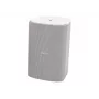 Bose Professional FreeSpace FS4SE paviršinio montavimo garsiakalbis (juodas)