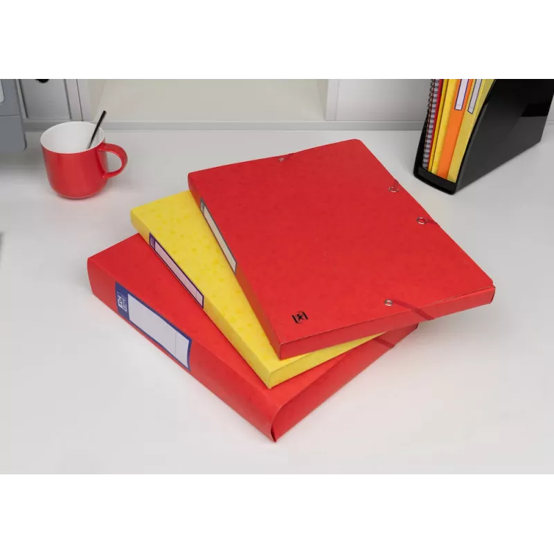 Oxford TOP FILE+ Dokumentų dėžutė A4 2,5 cm Raudona