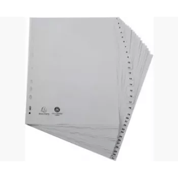 Exacompta 2931E Segtuvas A4 - Pilka - 100% Perdirbtas Polipropilenas - 2 Žiedai 20 mm - Nugarėlė 30 mm - Talpa 180 Lapų