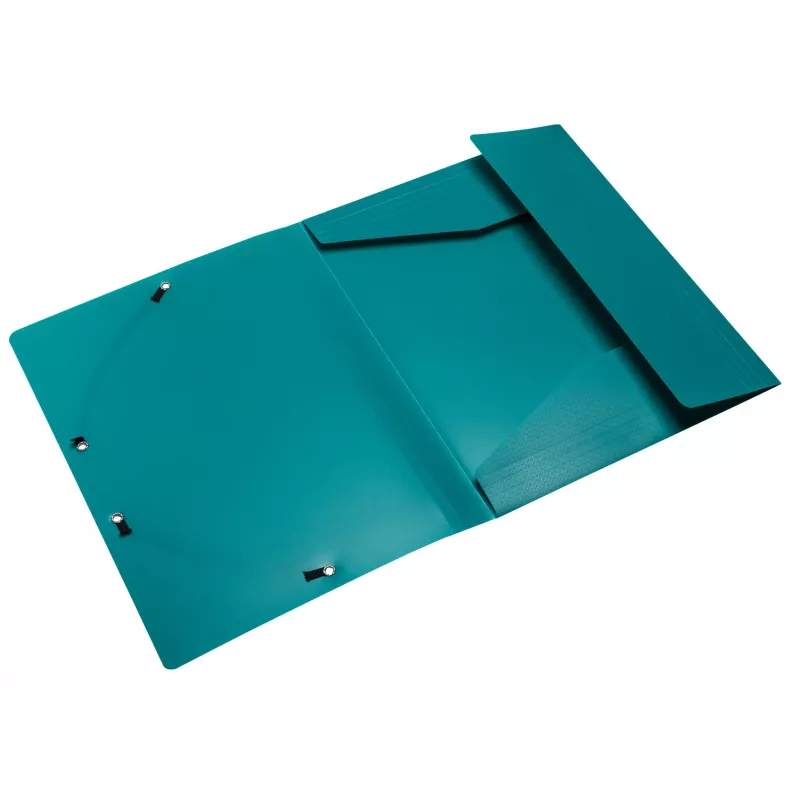Exacompta Opak Collection Folder A4 Green