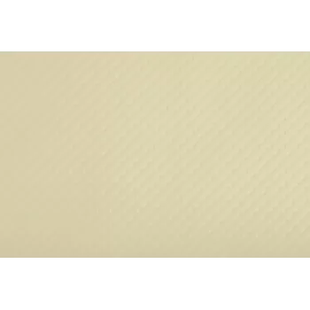 PROnappe Disposable Placemat 400 x 300 mm Ivory Embossed Lightly Satinized Paper