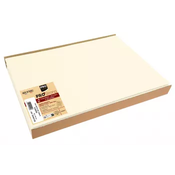 PROnappe vienkartinė staltiesė Spunbond 400 x 300 mm, ivory, PP