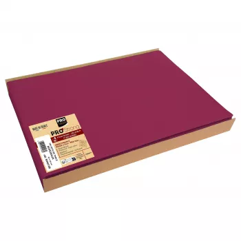 PROnappe Disposable Placemat Spunbond 400 x 300 mm Bordeaux