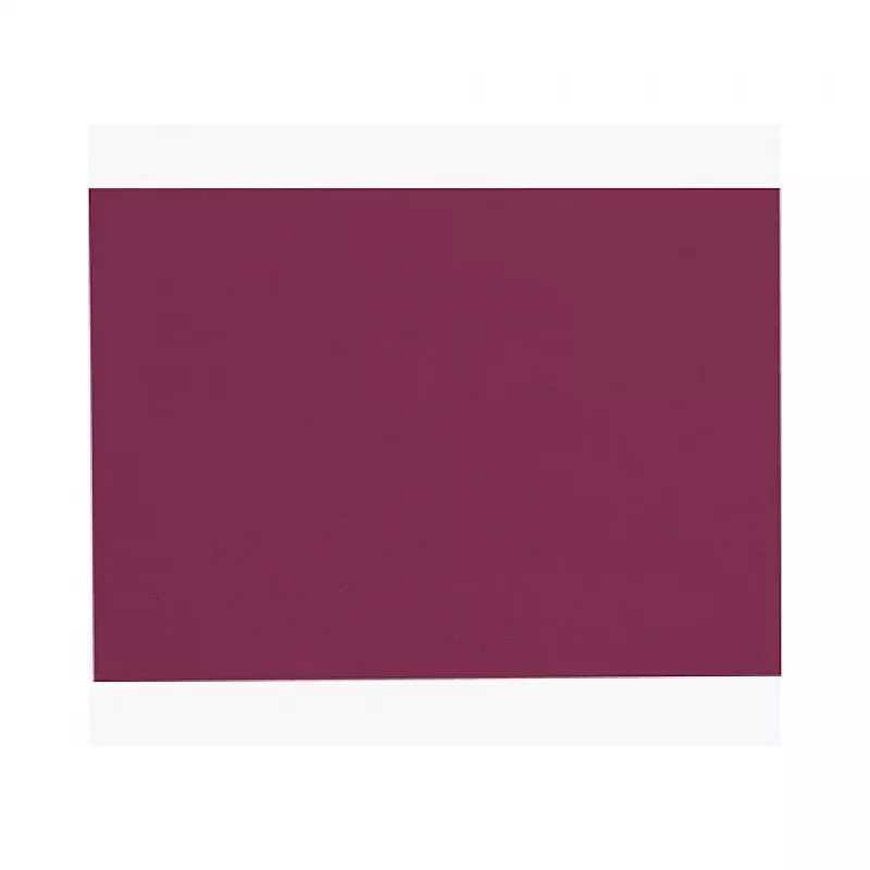 PROnappe Disposable Placemat Spunbond 400 x 300 mm Bordeaux