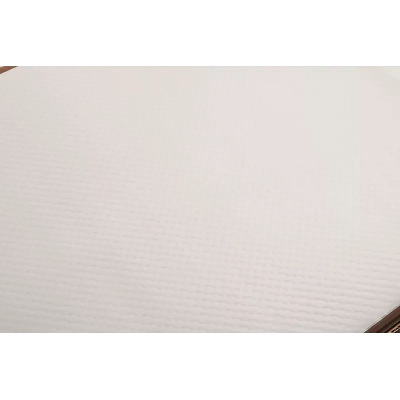 PROnappe 500 Placemats Tiss Lack White 30.0 x 40,0 cm