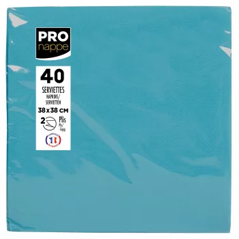 PROnappe Servetės Turquoise 2-Ply 19.0 x 19,0 cm 40 vnt.