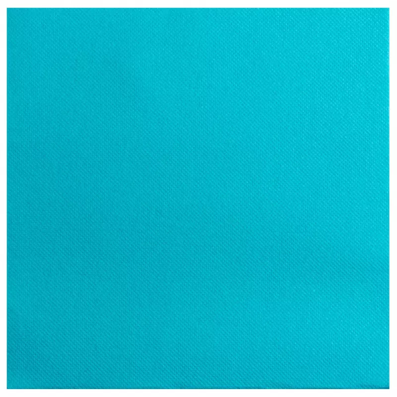 PROnappe Servetės Turquoise 2-Ply 19.0 x 19,0 cm 40 vnt.