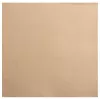 PROnappe Servetėlės Smėlio-Rudos 2 Sluoksnių 19,0 x 19,0 cm 40 Vnt
