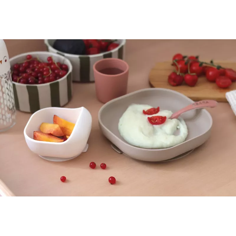 Beaba Silicone Baby Meal Set with Suction Base Terracotta (913602)