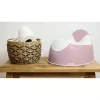 Beaba Potty Training Chair with Removable Bowl Old Pink