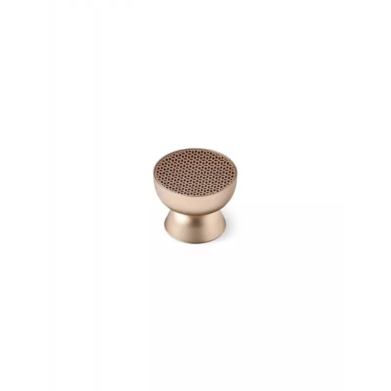 Lexon Tamo nešiojamas Bluetooth garsiakalbis auksinis LA131D