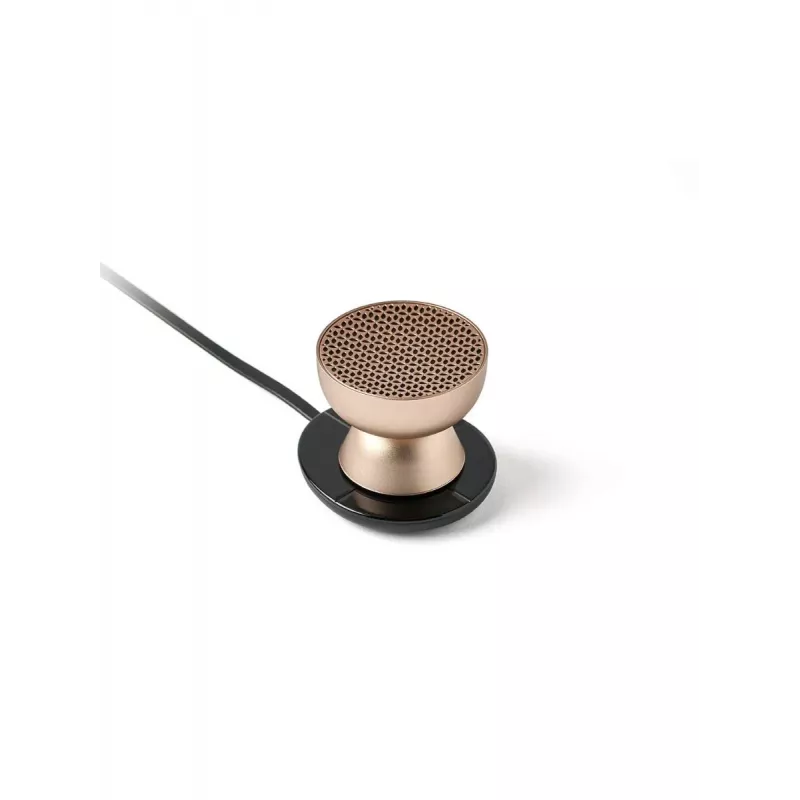 Lexon Tamo nešiojamas Bluetooth garsiakalbis auksinis LA131D