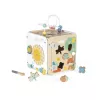 Janod Pure Large Activity Cube su Karoliukų Labirintu - 20 Veiklų - J05142