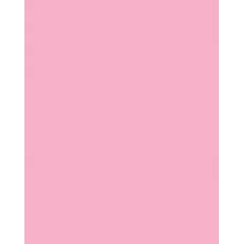 Folia 614/50 26 - Rose - Plain - A4 (210 x 297 mm) - 300 g/m² - 50 lapų - Vokietija