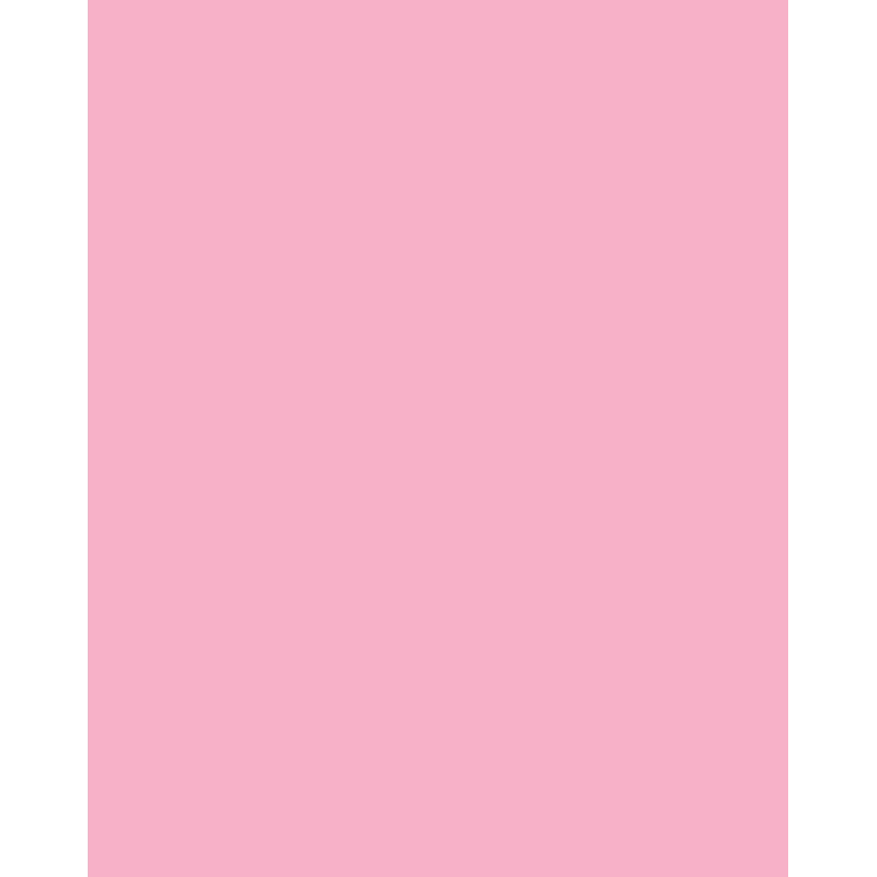 Folia 614/50 26 - Rose - Plain - A4 (210 x 297 mm) - 300 g/m² - 50 lapų - Vokietija