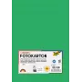 Folia 614/50 54 - Green - Single-Colored - A4 (210 x 297 mm) - 300 g/m² - 50 Sheets - Germany
