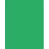 Folia 614/50 54 - Green - Single-Colored - A4 (210 x 297 mm) - 300 g/m² - 50 Sheets - Germany