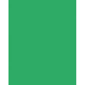 Folia 614/50 54 - Green - Single-Colored - A4 (210 x 297 mm) - 300 g/m² - 50 Sheets - Germany