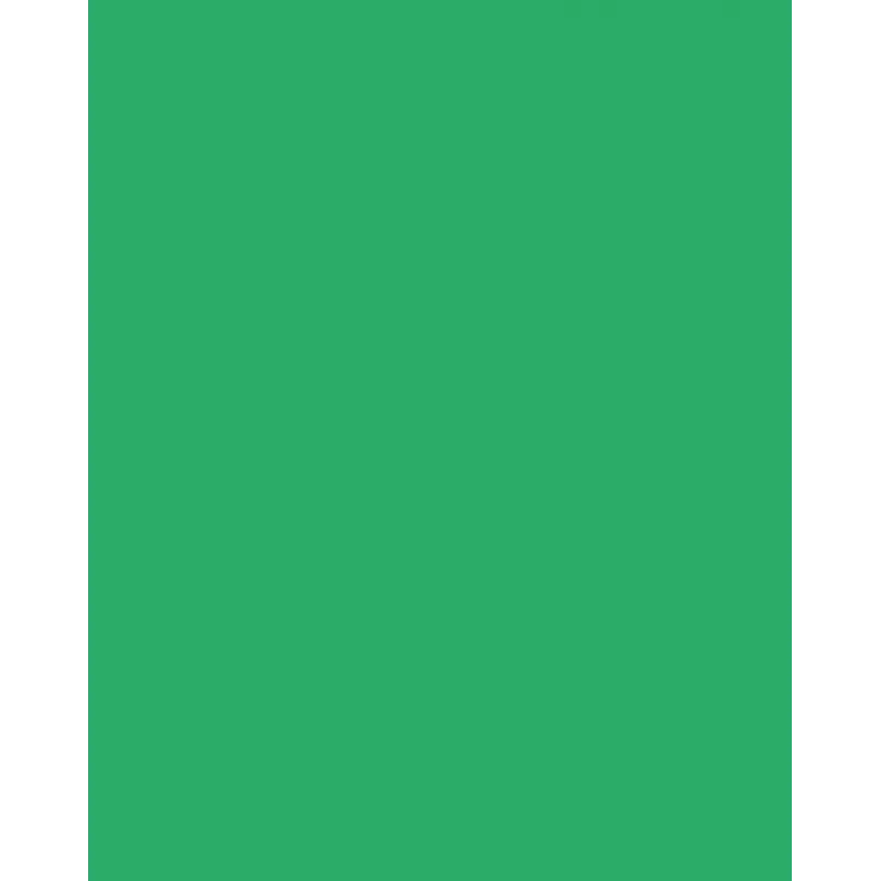 Folia 614/50 54 - Green - Single-Colored - A4 (210 x 297 mm) - 300 g/m² - 50 Sheets - Germany