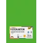 Folia 614/50 55 - Green - Solid - A4 (210 x 297 mm) - 300 g/m² - 50 Sheets - Germany