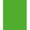 Folia 614/50 55 - Green - Solid - A4 (210 x 297 mm) - 300 g/m² - 50 Sheets - Germany