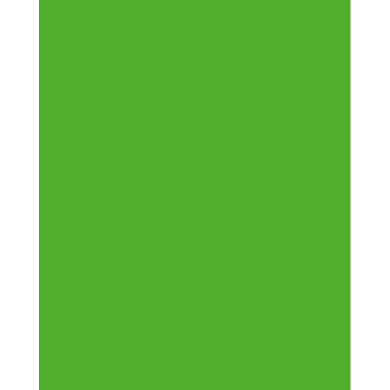 Folia 614/50 55 - Green - Solid - A4 (210 x 297 mm) - 300 g/m² - 50 Sheets - Germany