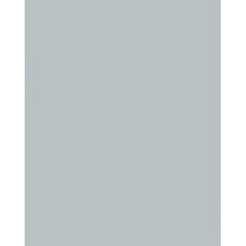 Folia 614/50 60 Design Paper - Sidabrinis - A4 (210 x 297 mm) - 300 g/m² - Matinis - 50 lapų