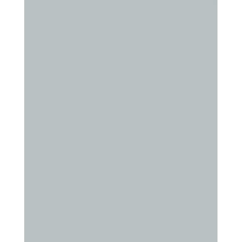 Folia 614/50 60 Design Paper - Sidabrinis - A4 (210 x 297 mm) - 300 g/m² - Matinis - 50 lapų