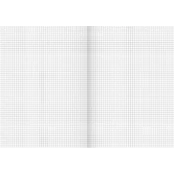 BRUNNEN Recycling School Notebook Lineatur 22, kvadratinis be paraščių, A4