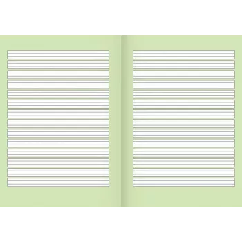 Brunnen Recycling School Notebook Lineatur 2, liniuotė su paraštėmis iš visų pusių, 2 klasei