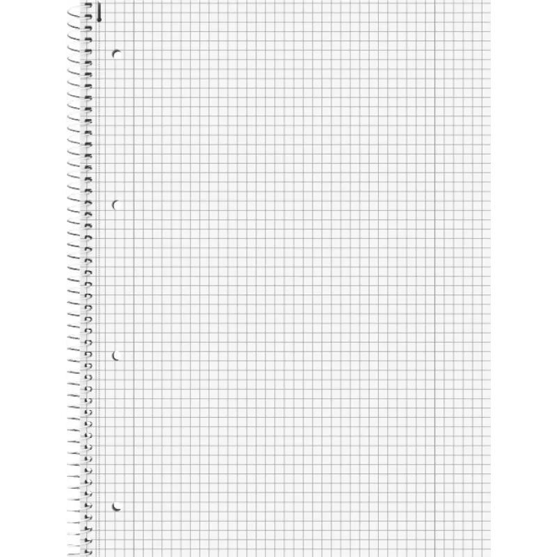 Brunnen College Block A4 Squared Lin.28 80 Sheets 90g Premium Silver 2 Margin Lines