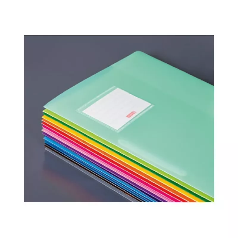 BRUNNEN FACT! Fastener File Polypropylene Brown Translucent DIN A4