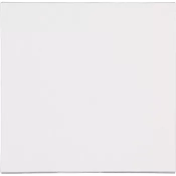 HEINRICH KOPP Frame 1-Gang White Conventional Flush-Mounted Thermoplastic