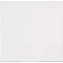 HEINRICH KOPP Frame 1-Gang White Conventional Flush-Mounted Thermoplastic