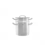 Fissler Original Profi Collection 2 Multistar garintuvo ir perforuoto įdėklo rinkinys 20 cm