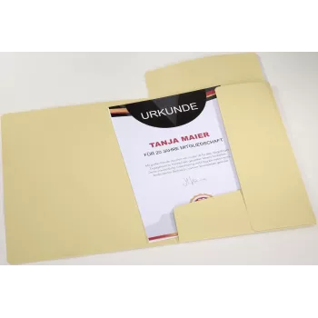 PAGNA Pastell Eco Elasticated Folder A4 PP Pastel Yellow