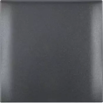 Berker 1-Gang Frame with Hinged Lid, Anthracite, S.1/B.Kwadrat