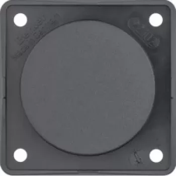 Berker Blanking Plate Anthracite with Support Plate 945162505