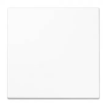 Jung ENOLS990WW EnOcean belaidis sieninis siųstuvas 868 MHz 2 kanalų Alpine White