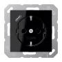 JUNG SCHUKO lizdas A1520-18CSW su USB Type C