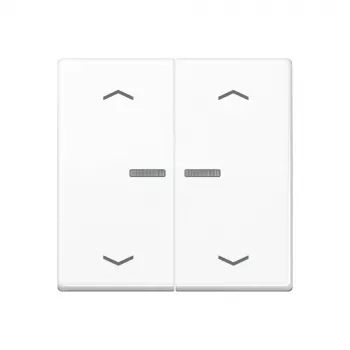 JUNG Home Push-button 2-gang Bluetooth AS 17102 P WW