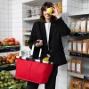 Reisenthel Carrybag Red - 22L Shopping & Leisure Bag