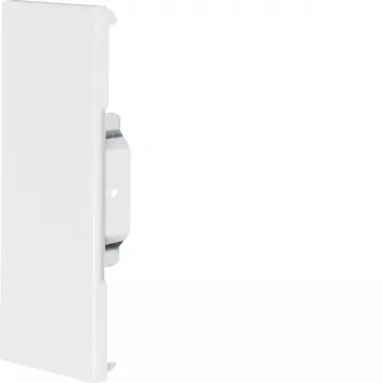 HAGER Uždengiamasis Galinis Elementas BRS6517069016 Plieno Lakštas 68x170mm OT80mm