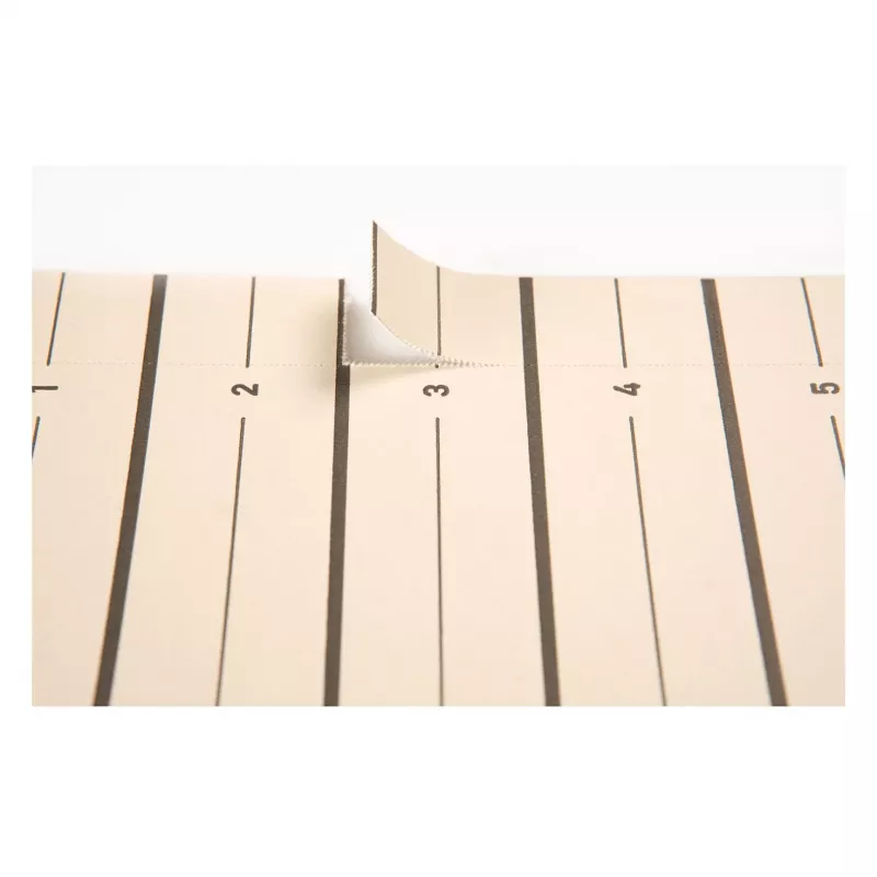 PAGNA A4 kartoniniai skirtukai 100 vnt. 180 g/m², smėlio spalvos, nepramušti 44063-09