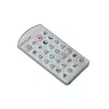 ESYLUX EM10016004 mygtukas, sidabrinis