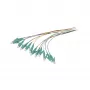 Synergy 21 Fiber Optic Pigtail LC 50/125 µm OM3 2 m 12-Pack Coloured